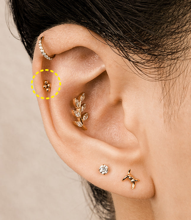 4 Mini Cluster Labret Titanium Gold Plated Flat Back earrings